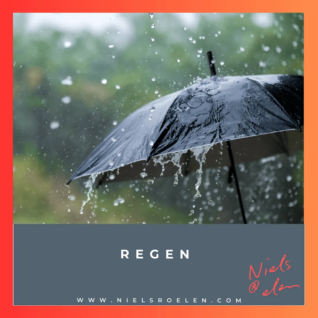 Regen blog Niels Roelen